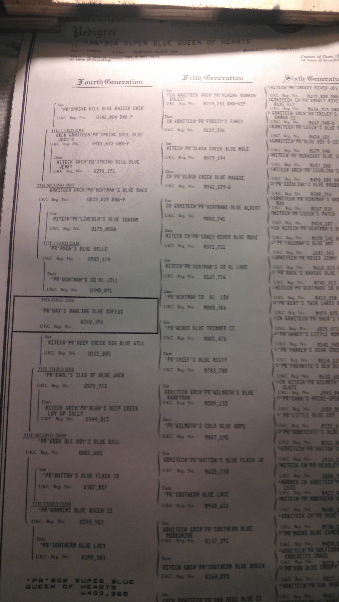 Queen pedigree page one